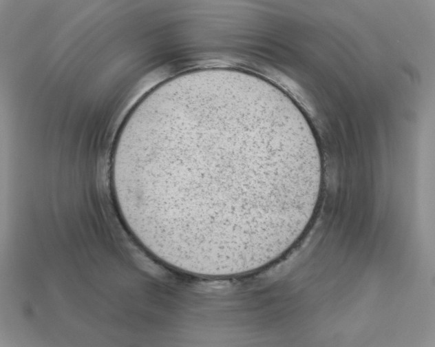 X0000112961186200910081039