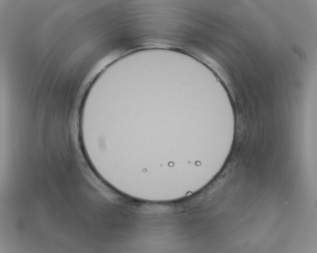 X0000112961187200910081039