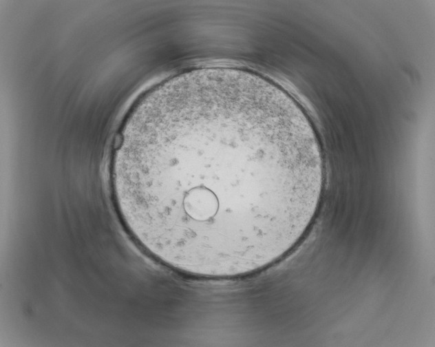 X0000112961189200910081039