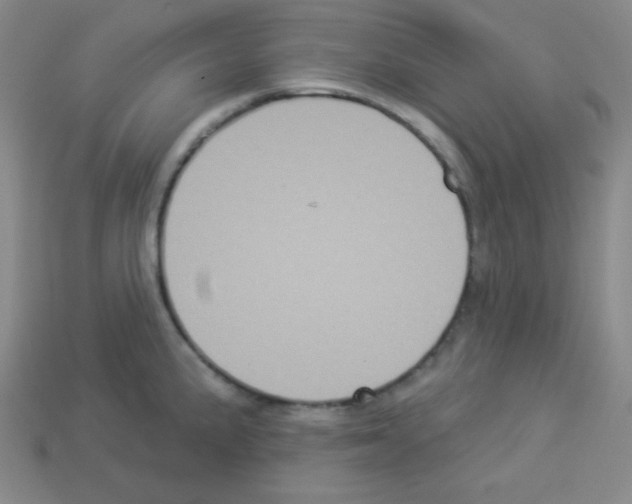 X0000112961191200910081039