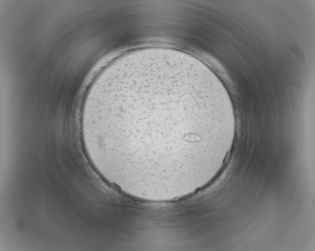 X0000112961192200910081039