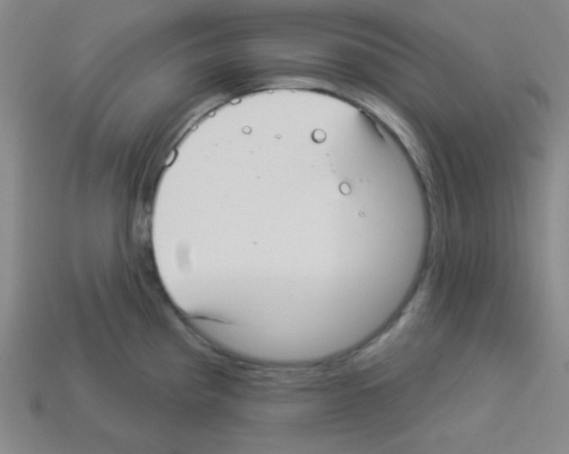 X0000112961193200910081039