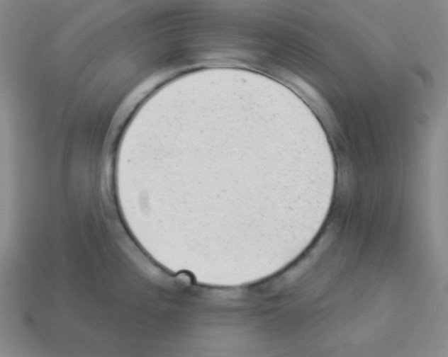 X0000112961196200910081039