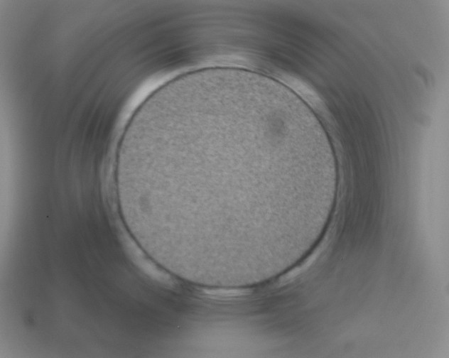 X0000112961200200910081039