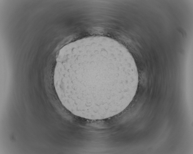 X0000112961201200910081038