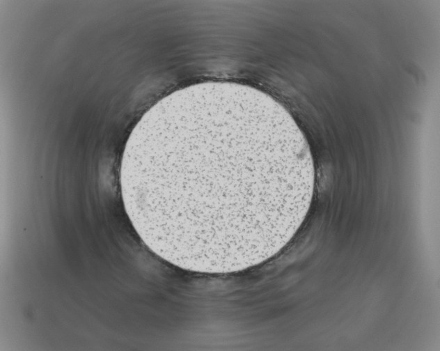 X0000112961202200910081038