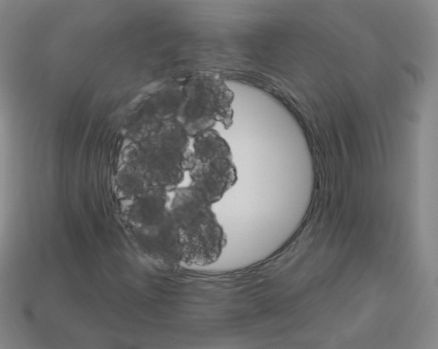 X0000112961204200910081038