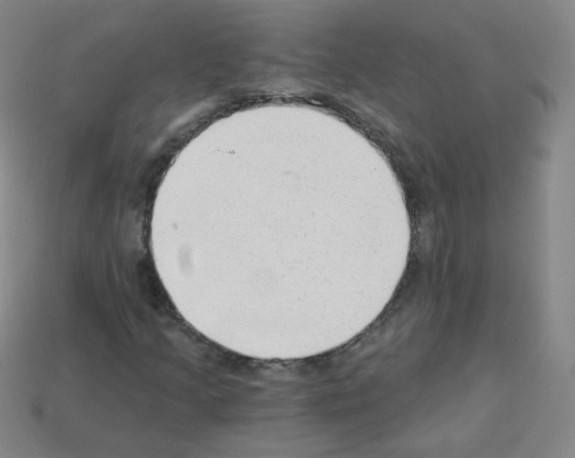 X0000112961205200910081038