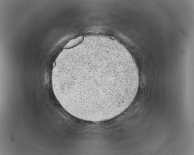 X0000112961206200910081038