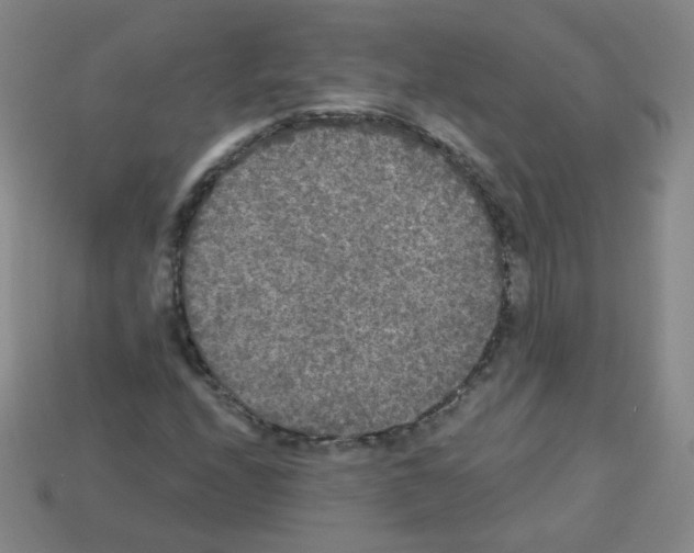 X0000112961208200910081038