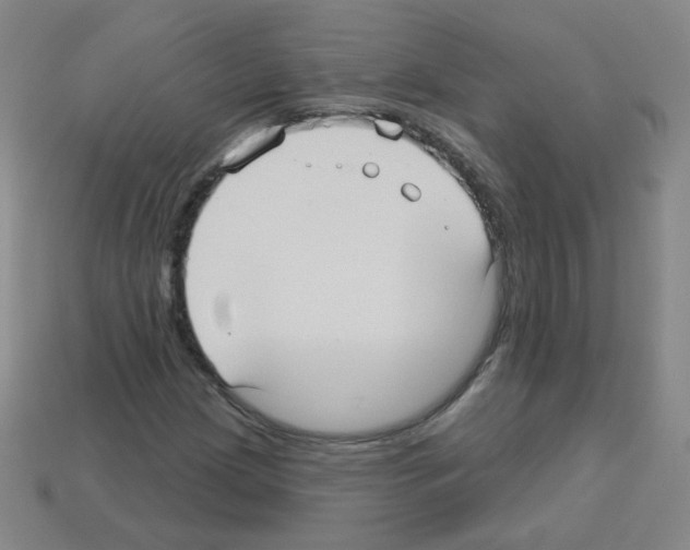 X0000112961209200910081038