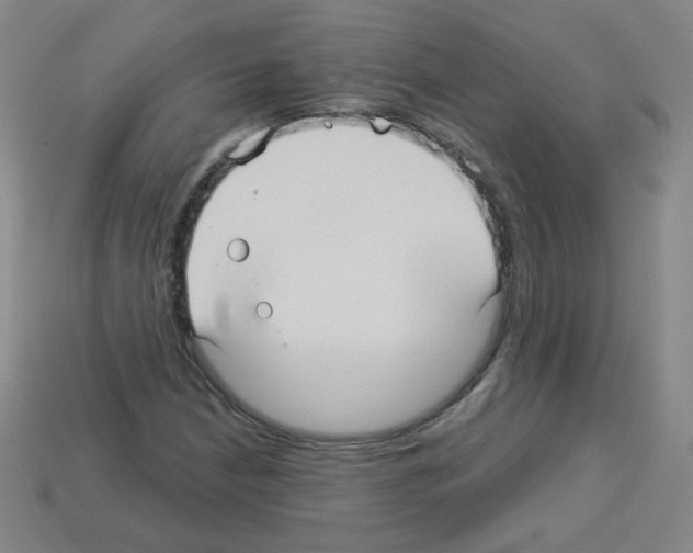 X0000112961210200910081038