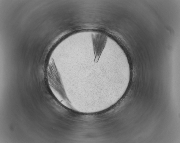 X0000112961212200910081038