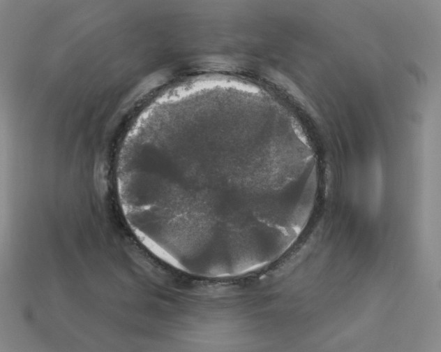 X0000112961213200910081038