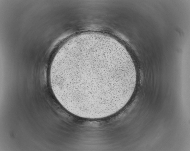 X0000112961214200910081038