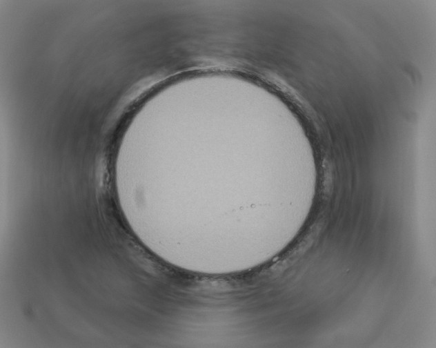 X0000112961215200910081038