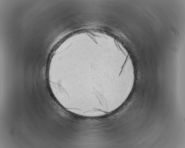 X0000112961216200910081038