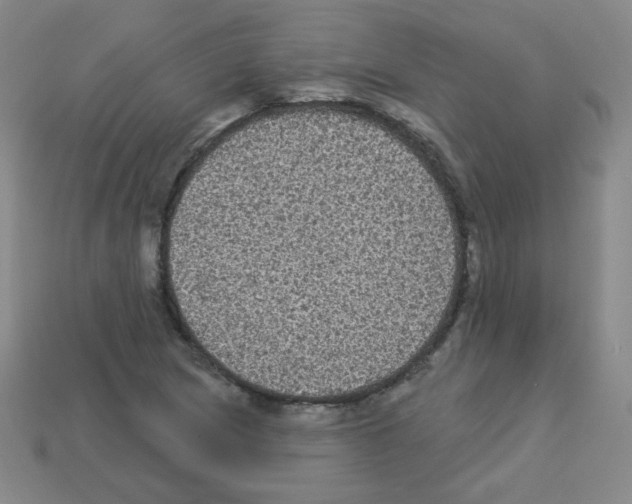 X0000112961217200910081038