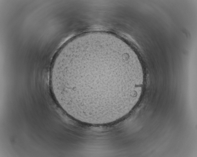 X0000112961220200910081038