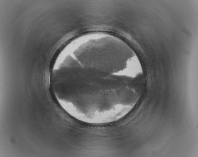 X0000112961221200910081038