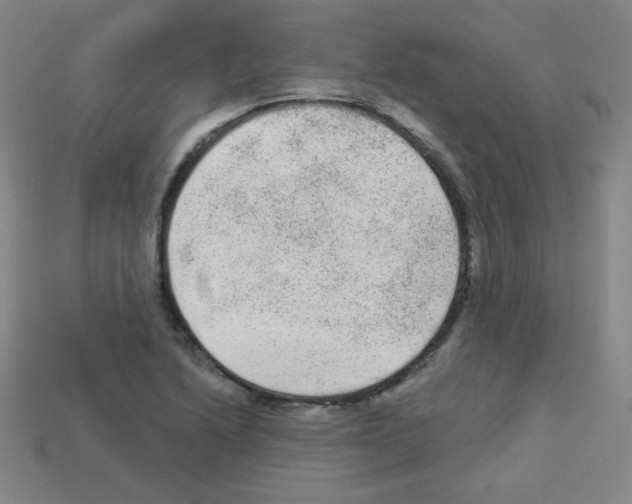 X0000112961222200910081038