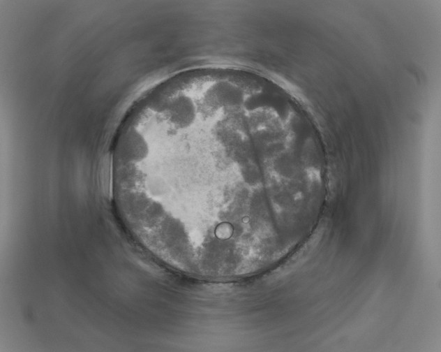 X0000112961223200910081038