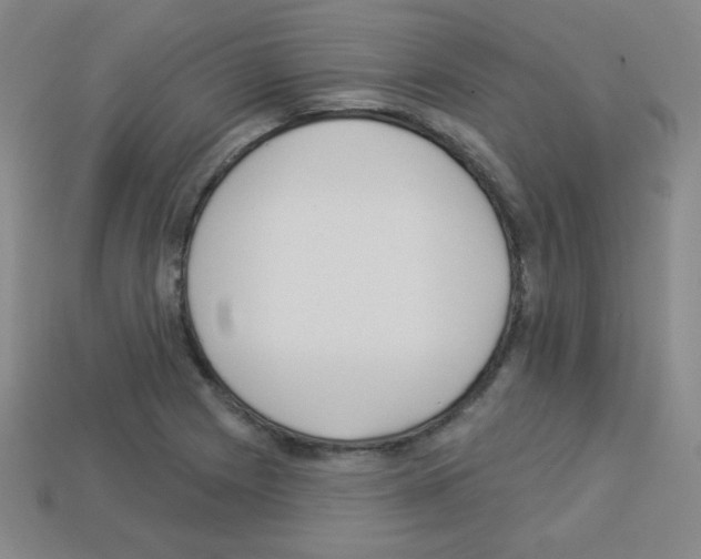 X0000112961225200910081038