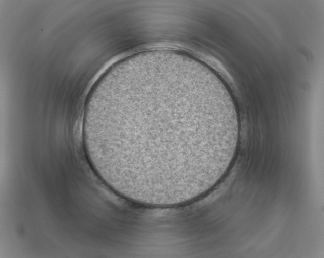 X0000112961228200910081038