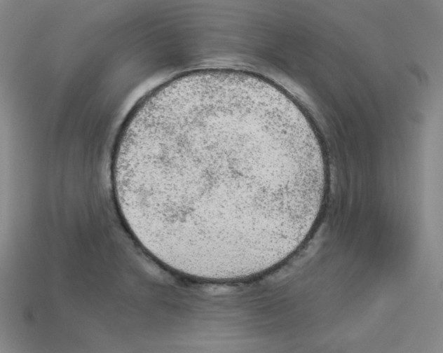 X0000112961230200910081039