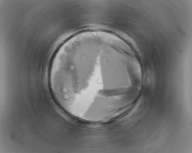 X0000112961231200910081039