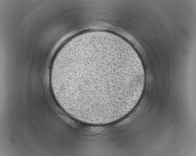 X0000112961232200910081039