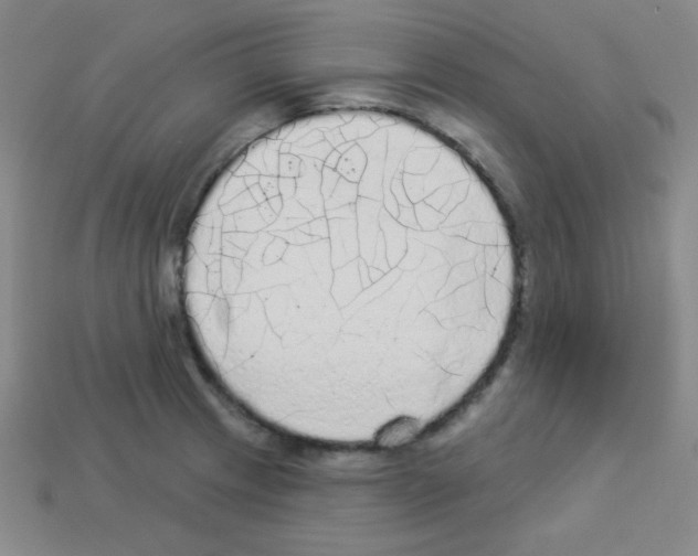 X0000112961233200910081039