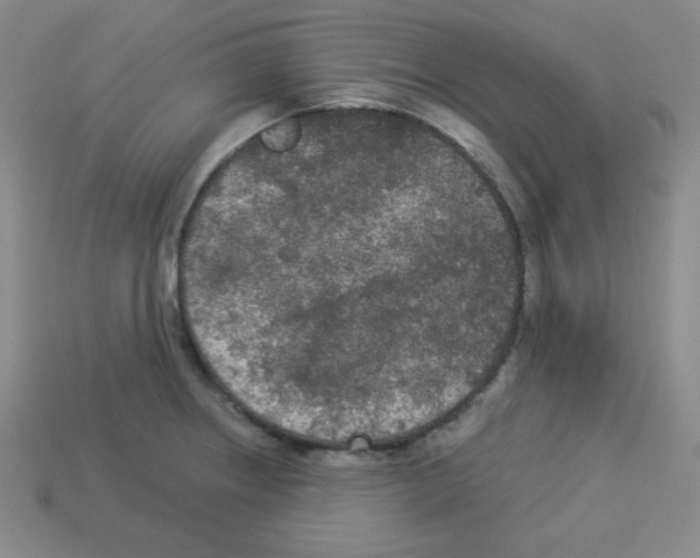 X0000112961234200910081039