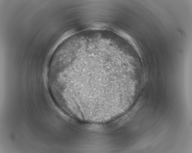 X0000112961235200910081039