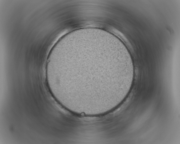 X0000112961236200910081039