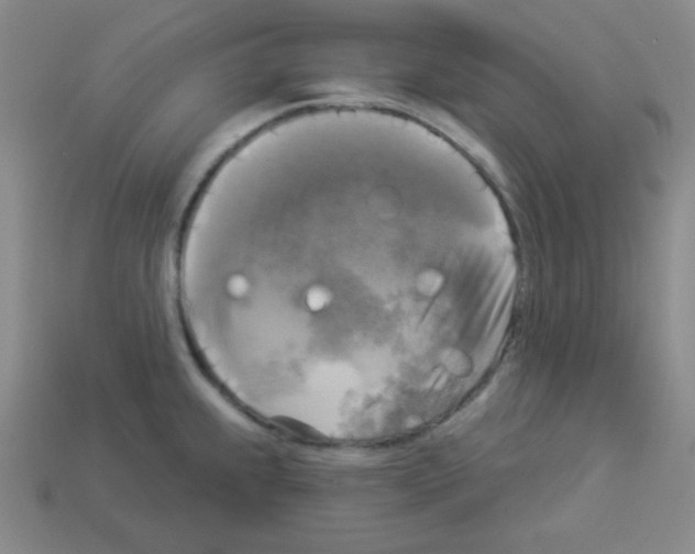 X0000112961239200910081039