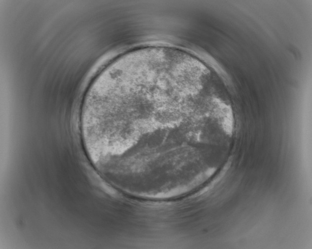 X0000112961240200910081039