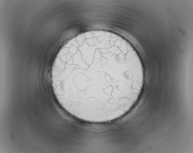 X0000112961241200910081039