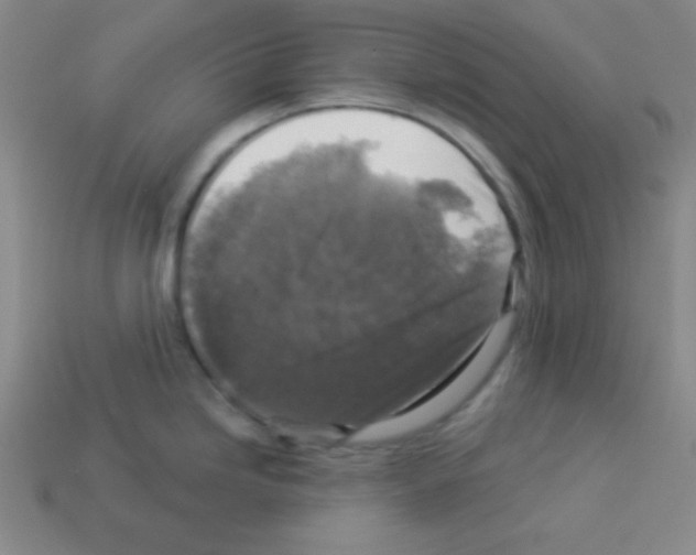 X0000112961246200910081039