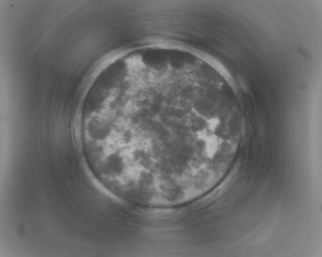 X0000112961247200910081039