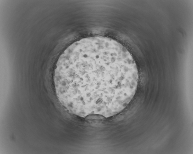 X0000112961249200910081038