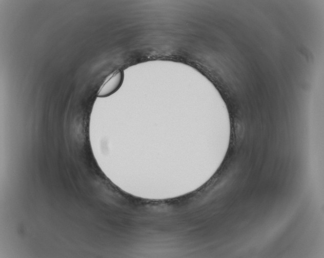 X0000112961250200910081038