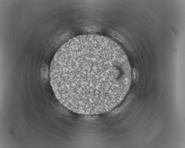 X0000112961251200910081038