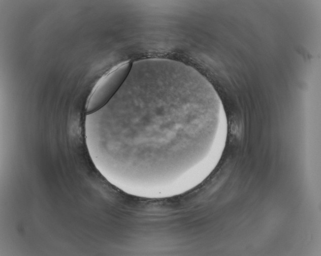 X0000112961252200910081038