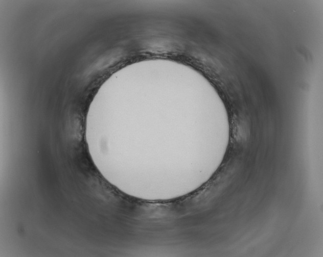 X0000112961253200910081038