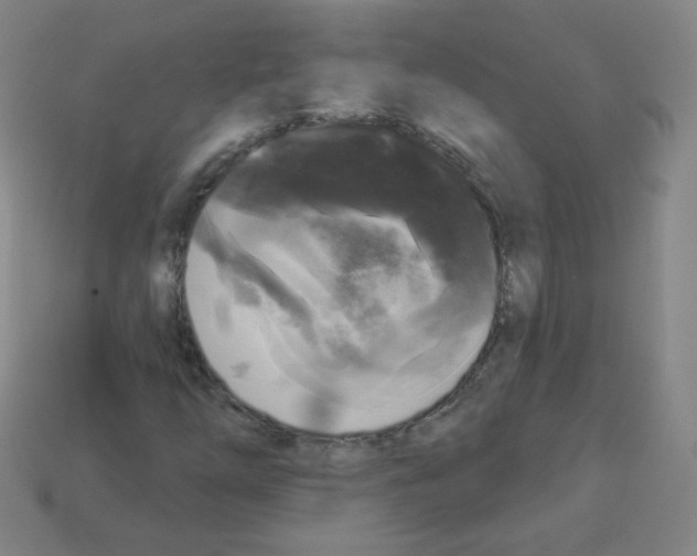 X0000112961254200910081038