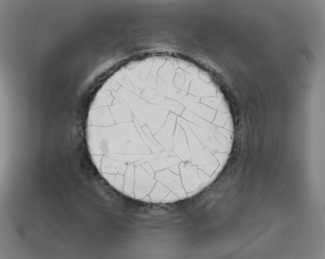 X0000112961255200910081038