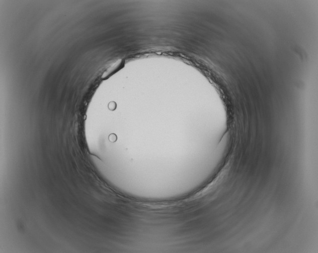 X0000112961257200910081038