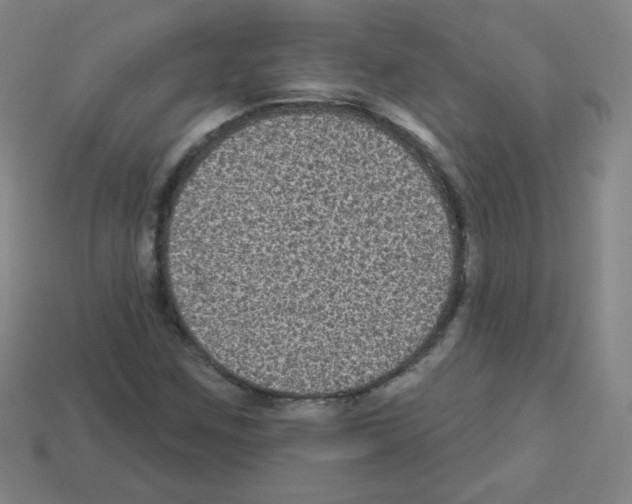 X0000112961259200910081038