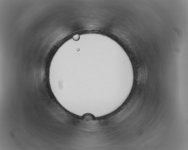 X0000112961261200910081038